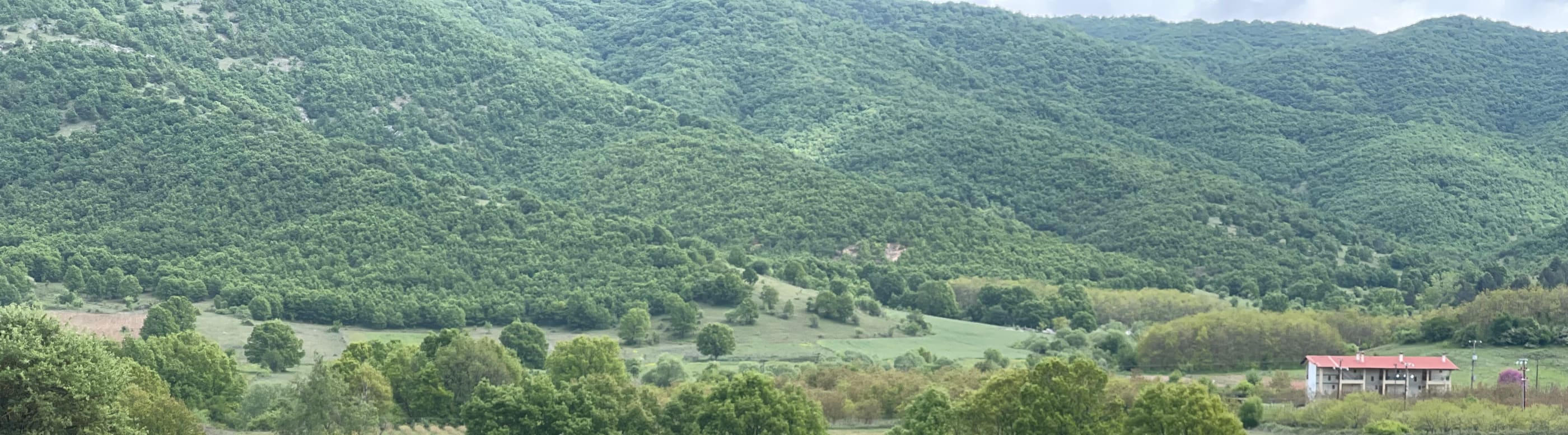 Πράσινοι λόφοι, δέντρα και λιβάδια γύρω από τη φάρμα, στην Καλαμπάκα